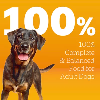 Pedigree High Protein Adult Dog Food - Beef & Lamb 44 LB - Image 3