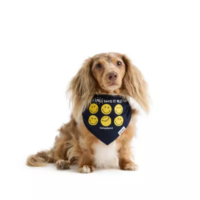 SMILEY WORLD® "A smile says it all" Jersey Dog Bandana - Image 1
