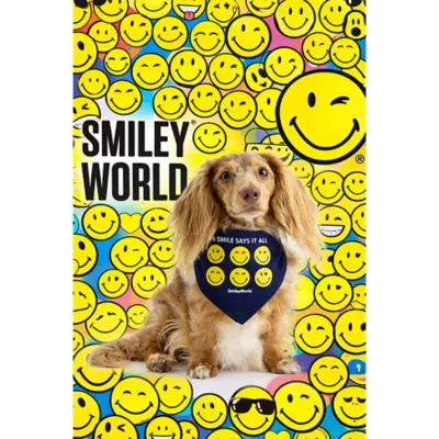 SMILEY WORLD® "A smile says it all" Jersey Dog Bandana - Image 4