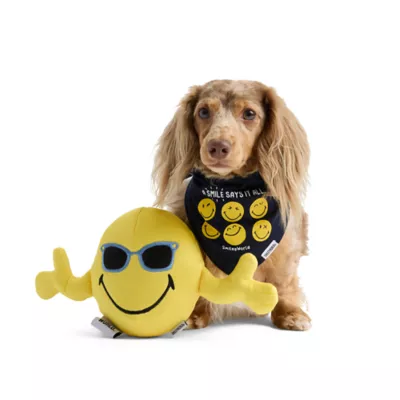 SMILEY WORLD® "A smile says it all" Jersey Dog Bandana - Image 5