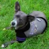 Baltimore Ravens NFL Hoodie Tee image thumbnail 2