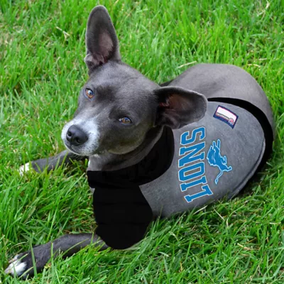 Detroit Lions NFL Hoodie Tee - Image 2