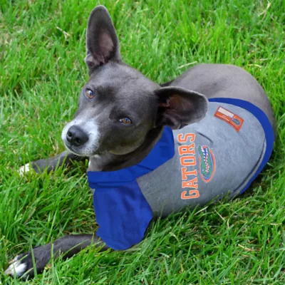 Florida Gators NCAA Hoodie T-Shirt - Image 3