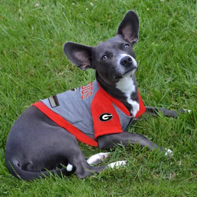 Georgia Bulldogs NCAA Hoodie T-Shirt - Image 2