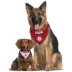 Alabama Crimson Tide NCAA Reversible Pet Bandana image thumbnail 4