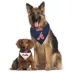 Atlanta Braves MLB Reversible Pet Bandana image thumbnail 4