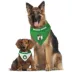 Pets First Boston Celtics Reversible Bandana image thumbnail 4