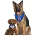 Chicago Cubs MLB Reversible Pet Bandana image thumbnail 4