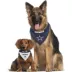 Dallas Cowboys NFL Reversible Pet Bandana image thumbnail 4