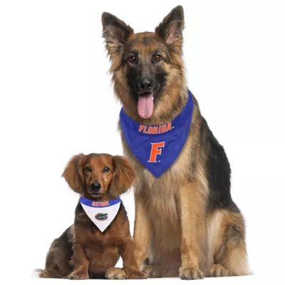 Florida Gators NCAA Reversible Pet Bandana - Image 4