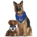 Pets First Golden State Warriors Reversible Bandana image thumbnail 4