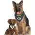 Green Bay Packers NFL Reversible Pet Bandana image thumbnail 4