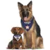 Pets First Houston Astros Reversible Pet Bandana image thumbnail 4