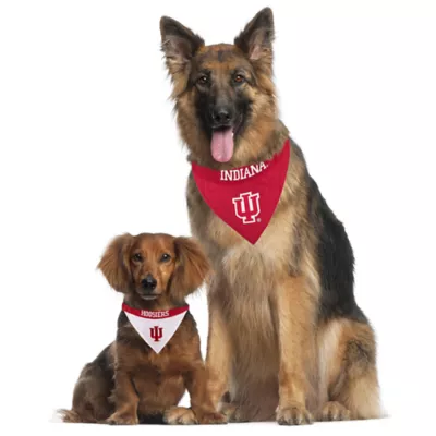 Indiana Hoosiers NCAA Reversible Pet Bandana - Image 4