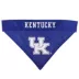 Kentucky Wildcats NCAA Reverisble Pet Bandana image thumbnail 3