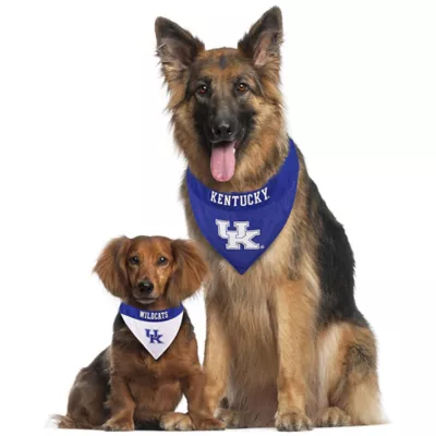 Kentucky Wildcats NCAA Reverisble Pet Bandana - Image 4