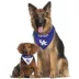 Kentucky Wildcats NCAA Reverisble Pet Bandana image thumbnail 4