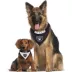 Pets First Las Vegas Raiders NFL Reversible Bandana image thumbnail 4