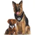 Pets First Los Angeles Kings Reversible Bandana image thumbnail 4