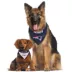 Pets First New England Patriots NFL Reversible Bandana image thumbnail 5