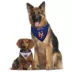 Pets First MLB New York Mets Pet Bandana image thumbnail 5