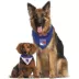 Pets First New York Rangers Reversible Bandana image thumbnail 4