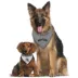 New York Yankees Reversible Pet Bandana image thumbnail 4