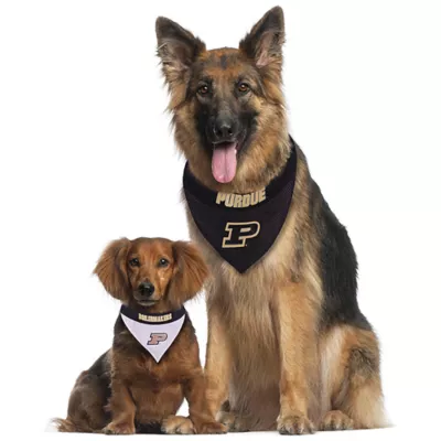 Pets First Purdue Boilermakers NCAA Reversible Bandana - Image 4