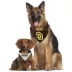 Pets First San Diego Padres Reversible Pet Bandana image thumbnail 4