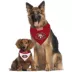 Pets First San Francisco 49ers NFL Reversible Bandana image thumbnail 4