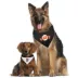 Pets First MLB an Francisco Giants Pet Bandana image thumbnail 4
