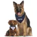 Seattle Seahawks NFL Reversible Pet Bandana image thumbnail 4