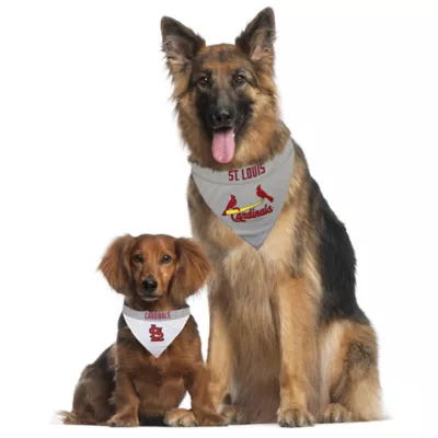 Pets First St. Louis Cardinals MLB Pet Bandana - Image 4