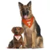 Tennessee Volunteers NCAA Reversible Pet Bandana image thumbnail 4
