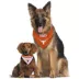 Texas Longhorns NCAA Reversible Pet Bandana image thumbnail 4