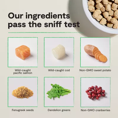 Open Farm Grain Free All Life Stages Cat Freeze Dried Raw Morsels, 3.5 oz - Image 6