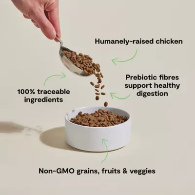 Open Farm Goodbowl With Grain All Life Stages Dry Cat Food - Natural, Humanely Raised, Chicken - Image 3