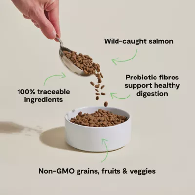 Open Farm Goodbowl With Grain All Life Stages Dry Cat Food - Ethically & Sustainably Sourced, Salmon - Image 3
