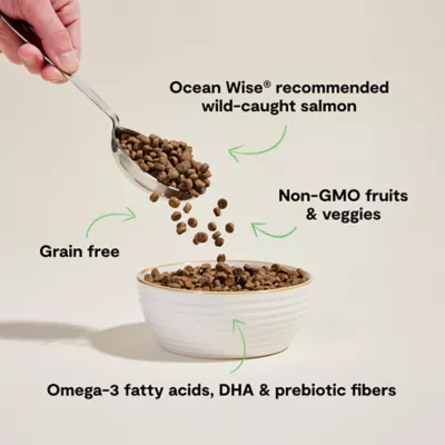 Open Farm Grain Free Adult Dry Cat Food - Ethically & Sustainably Sourced, Non-GMO, Salmon - Image 3