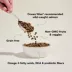 Open Farm Grain Free Adult Dry Cat Food - Ethically & Sustainably Sourced, Non-GMO, Salmon image thumbnail 3