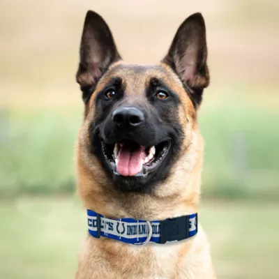 Pets First Indianapolis Colts Satin Collar - Image 3