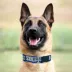 Pets First Indianapolis Colts Satin Collar image thumbnail 3