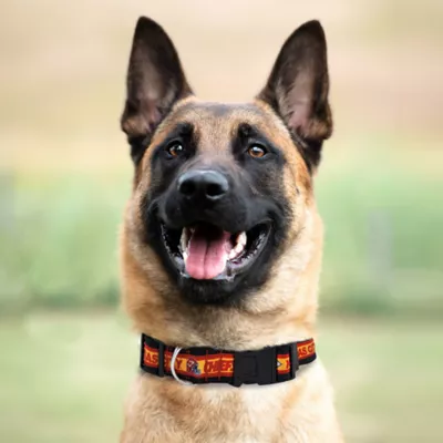 Pets First Kansas City Chiefs Satin Dog Collar - Image 3