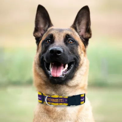 Pets First Minnesota Vikings Satin Collar - Image 3