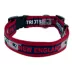 Pets First New England Patriots Satin Collar image thumbnail 2