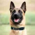 Pets First NFL New Orleans Saints Satin Dog Collar image thumbnail 3