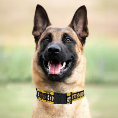 Pets First Pittsburgh Steelers Satin Collar - Image 3