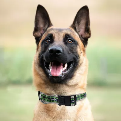 Pets First Seattle Seahawks Satin Collar - Image 3