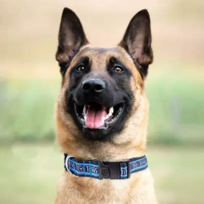 Pets First Tennessee Titans Satin Collar - Image 3