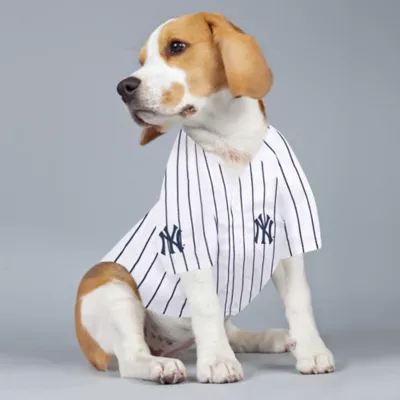Pets First Aaron Judge Pet Jersey - Image 4